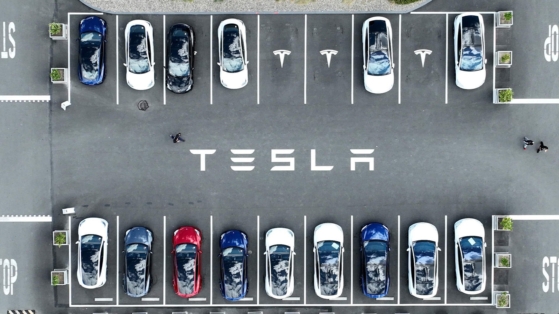 Tesla Parking Lot
