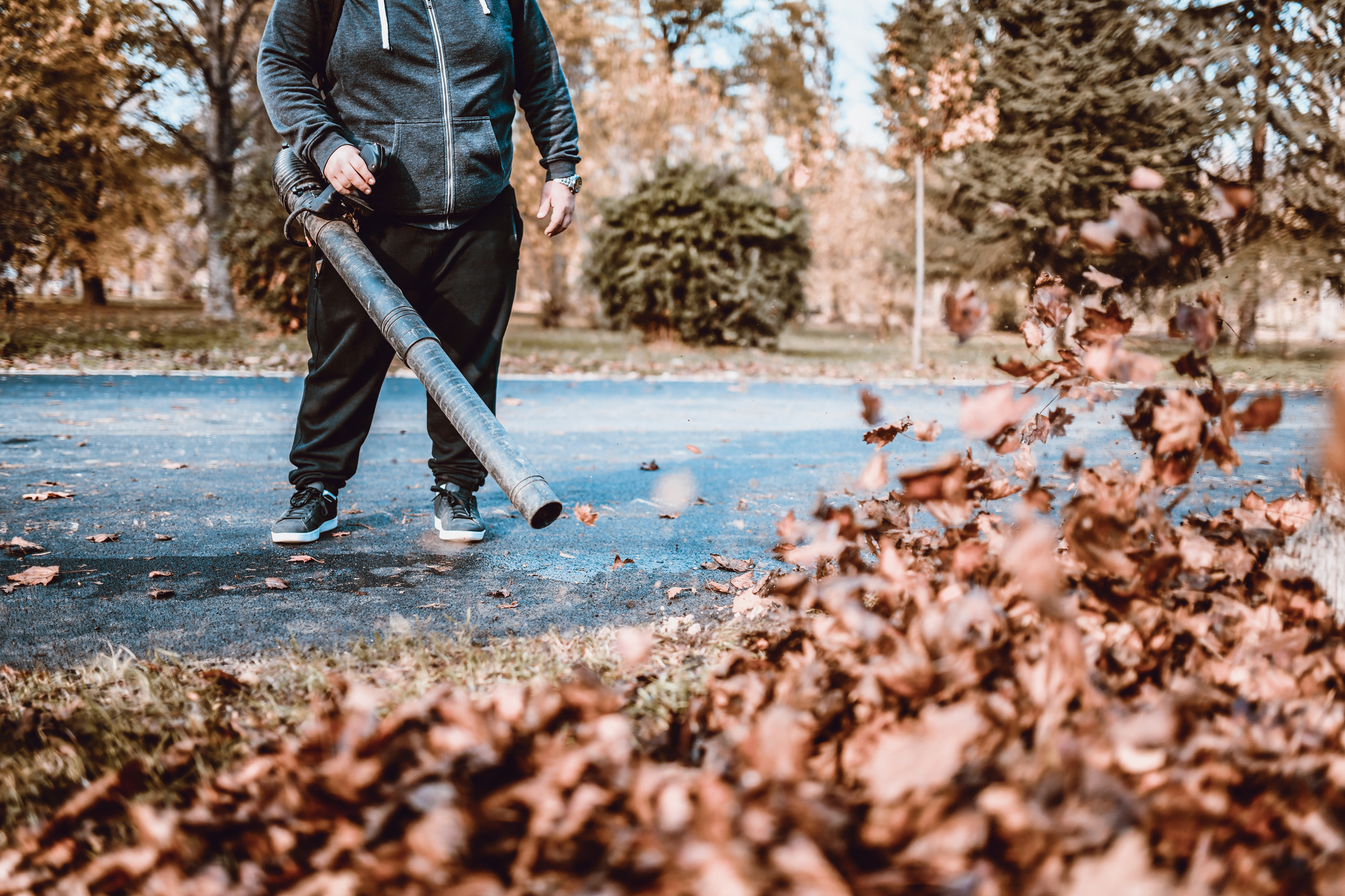 getty images leaf blower