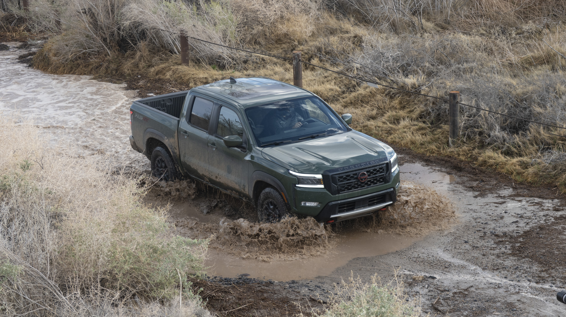 <em>Andrew P. Collins</em> <em>Andrew P. Collins</em>