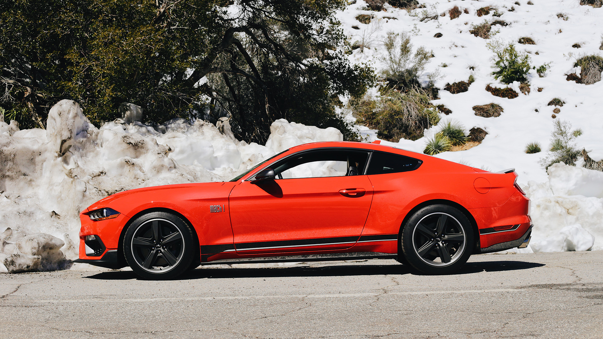 2022 Ford Mustang Mach 1