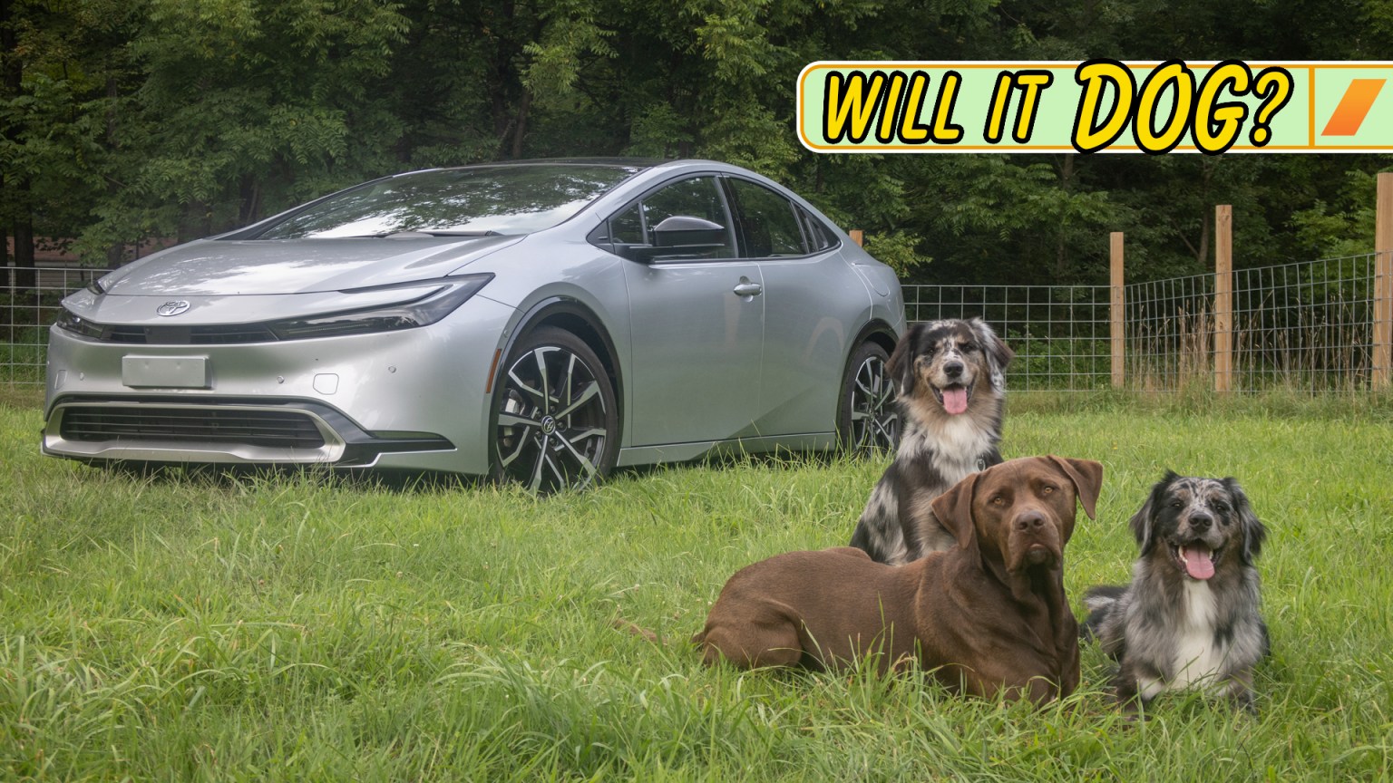 2023 Toyota Prius Review For Dog Owners Is Toyota s Hot Hybrid A Good 2023-toyota-prius-review-for-dog-owners-is-toyota-s-hot-hybrid-a-good