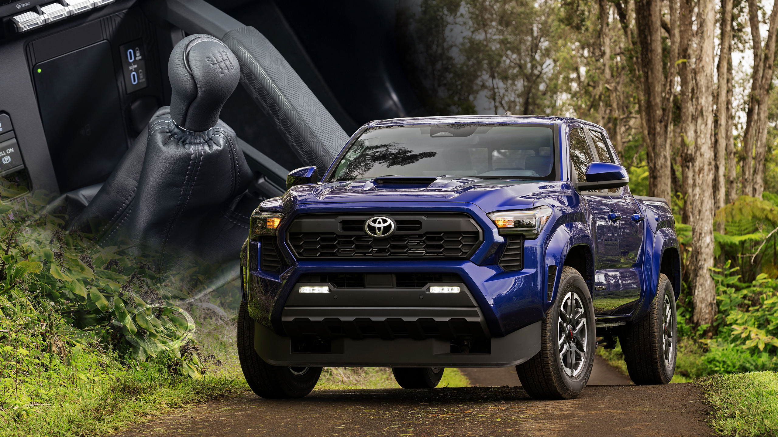 2025 Toyota Tacoma Is America's Last New Pickup With a Manual Transmission