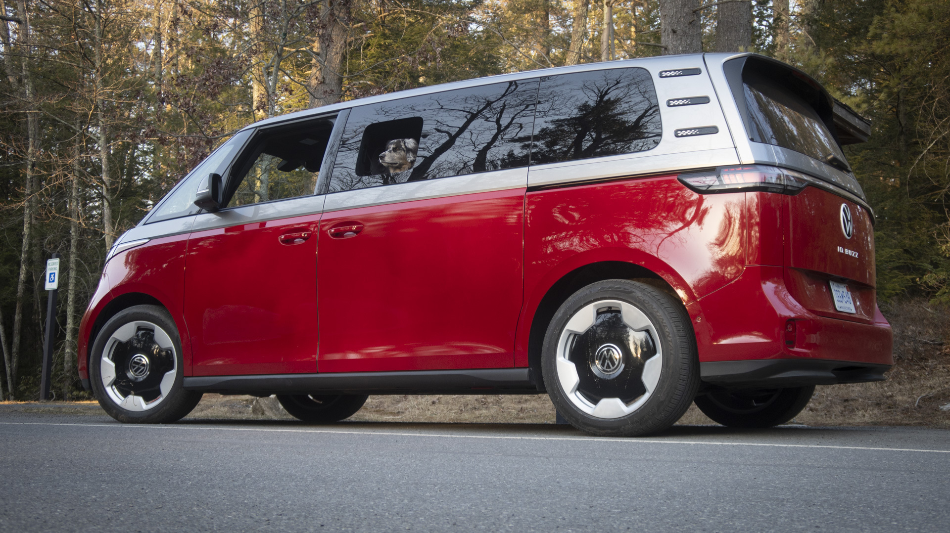 VW ID.Buzz side view with dog in the rear window