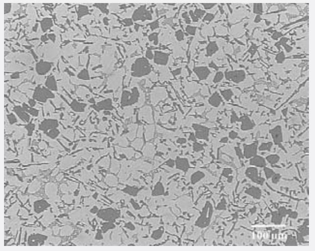 Magnified view of Alusil.