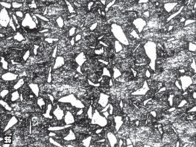 Magnified view of Lokasil.