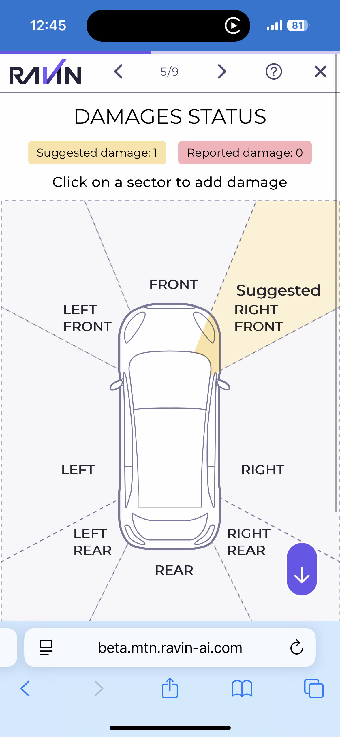Screenshot of Ravin scanner website