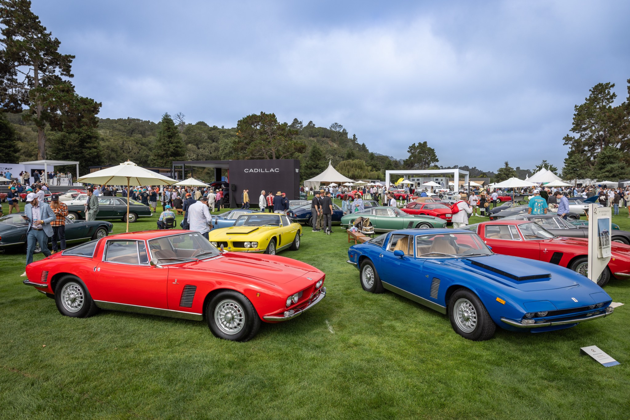 QUAIL25TO_04844_68a5b1.jpg?w=2048