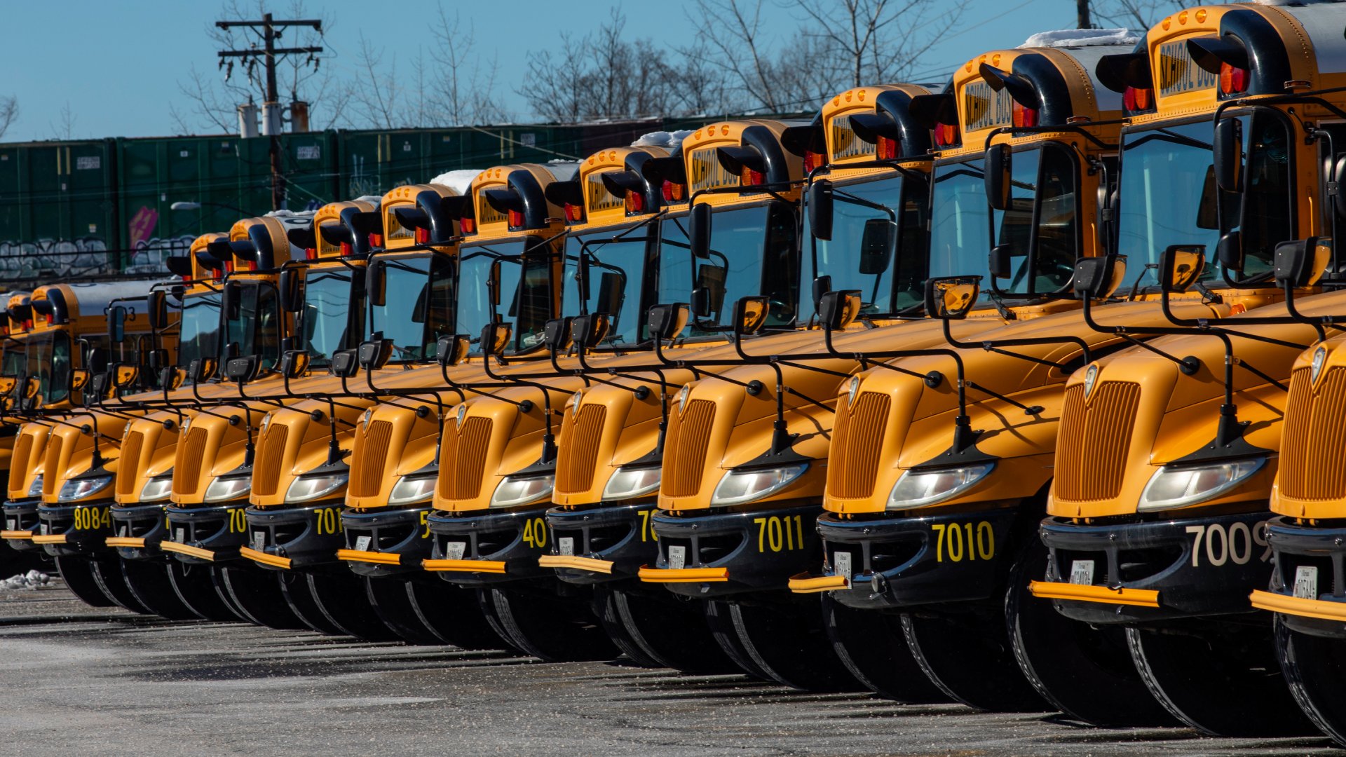 School bus fleet
