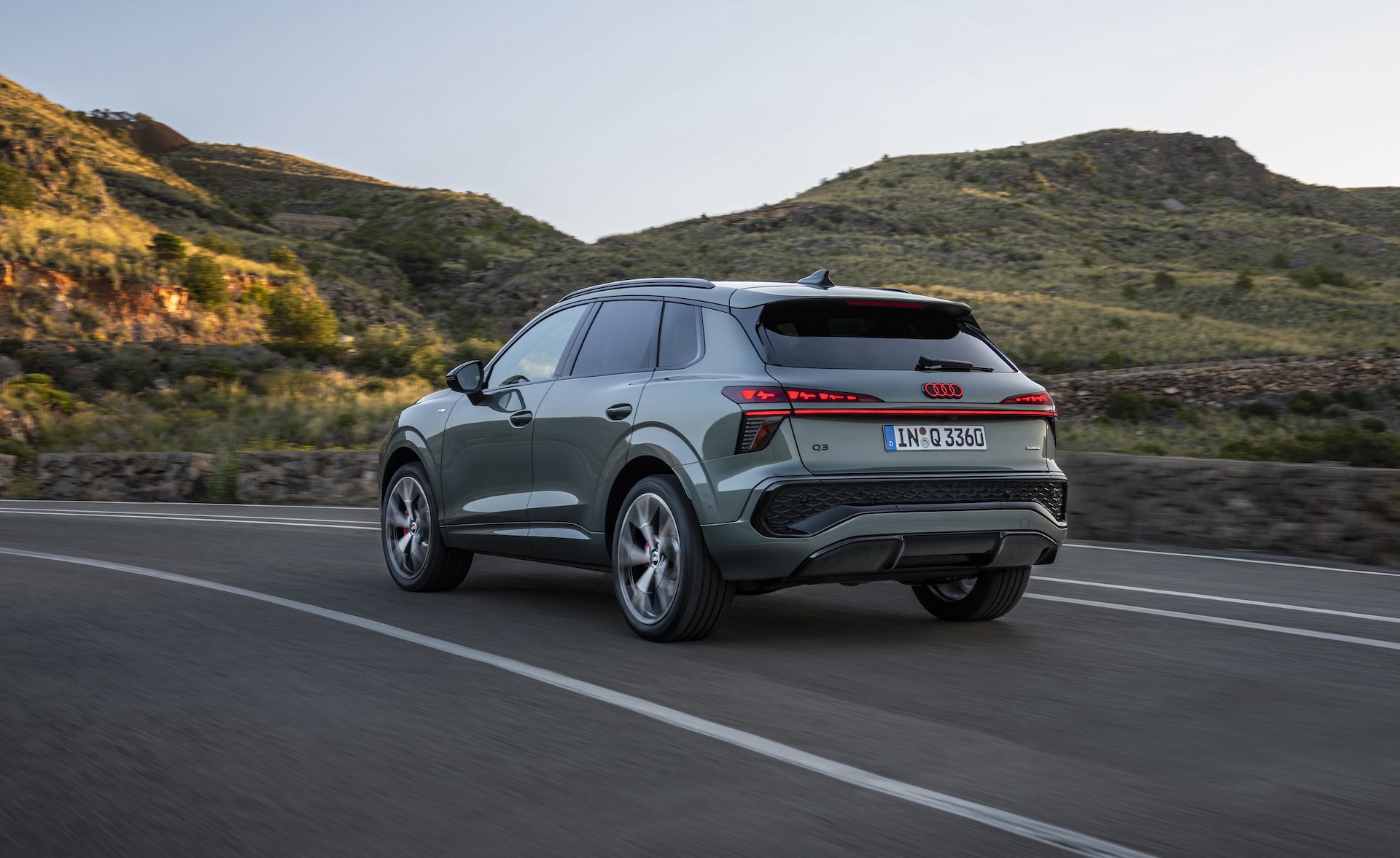 Dynamic photo (Logo illumination is only active while headlights are on low beam or high beam), Colour: Sage green