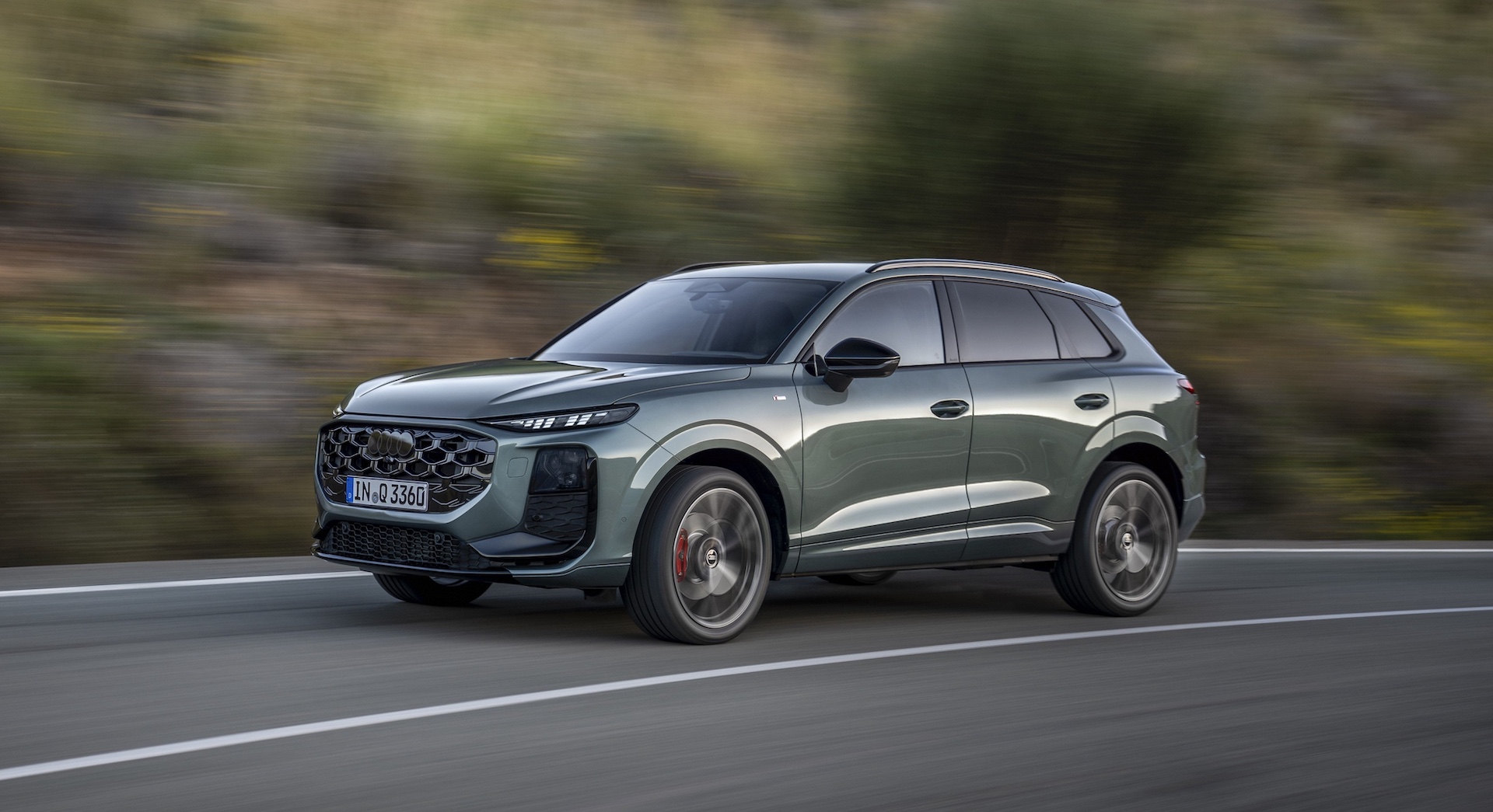 Dynamic photo, Colour: Sage green