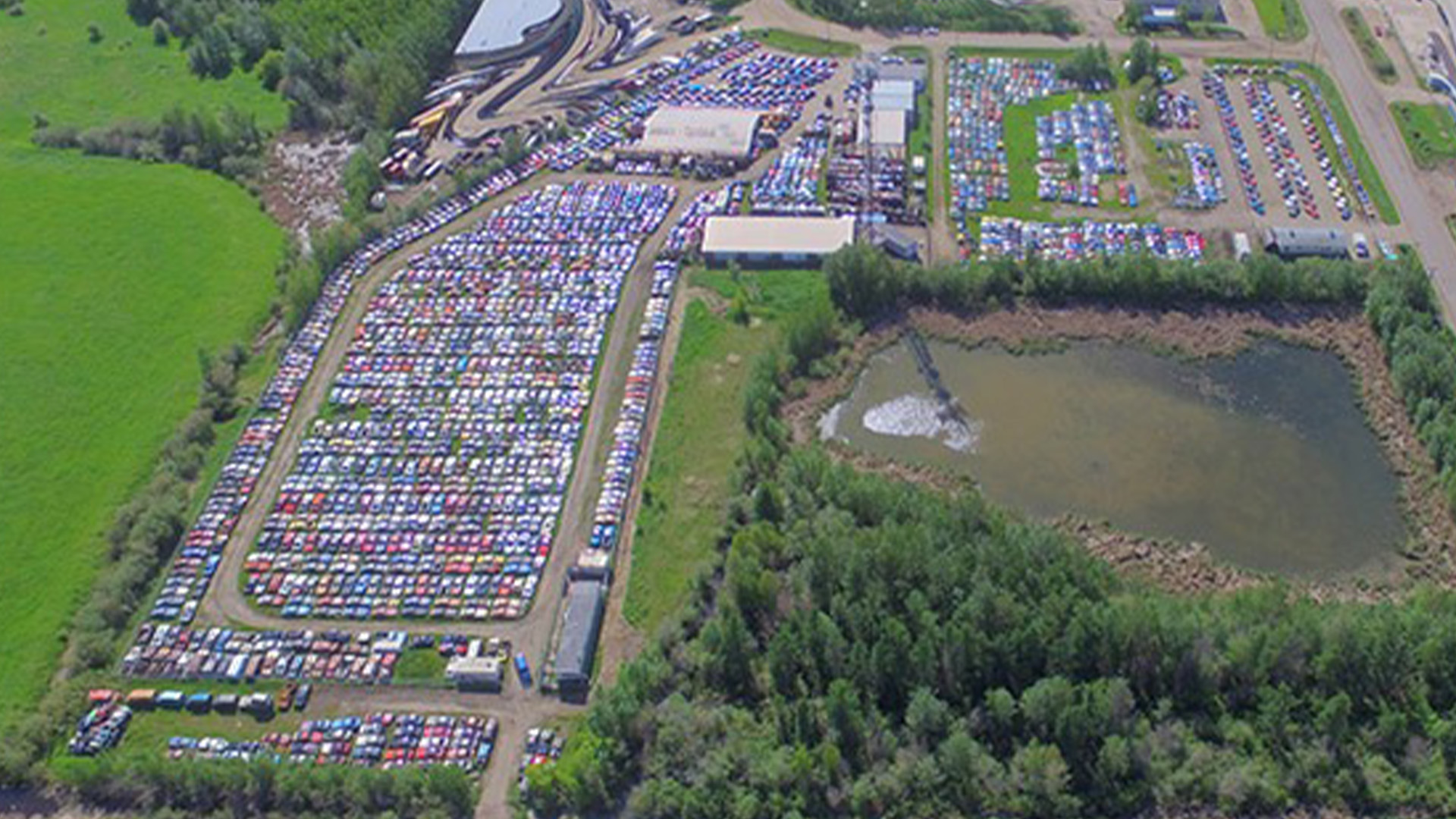 Camaro and Firebird collection