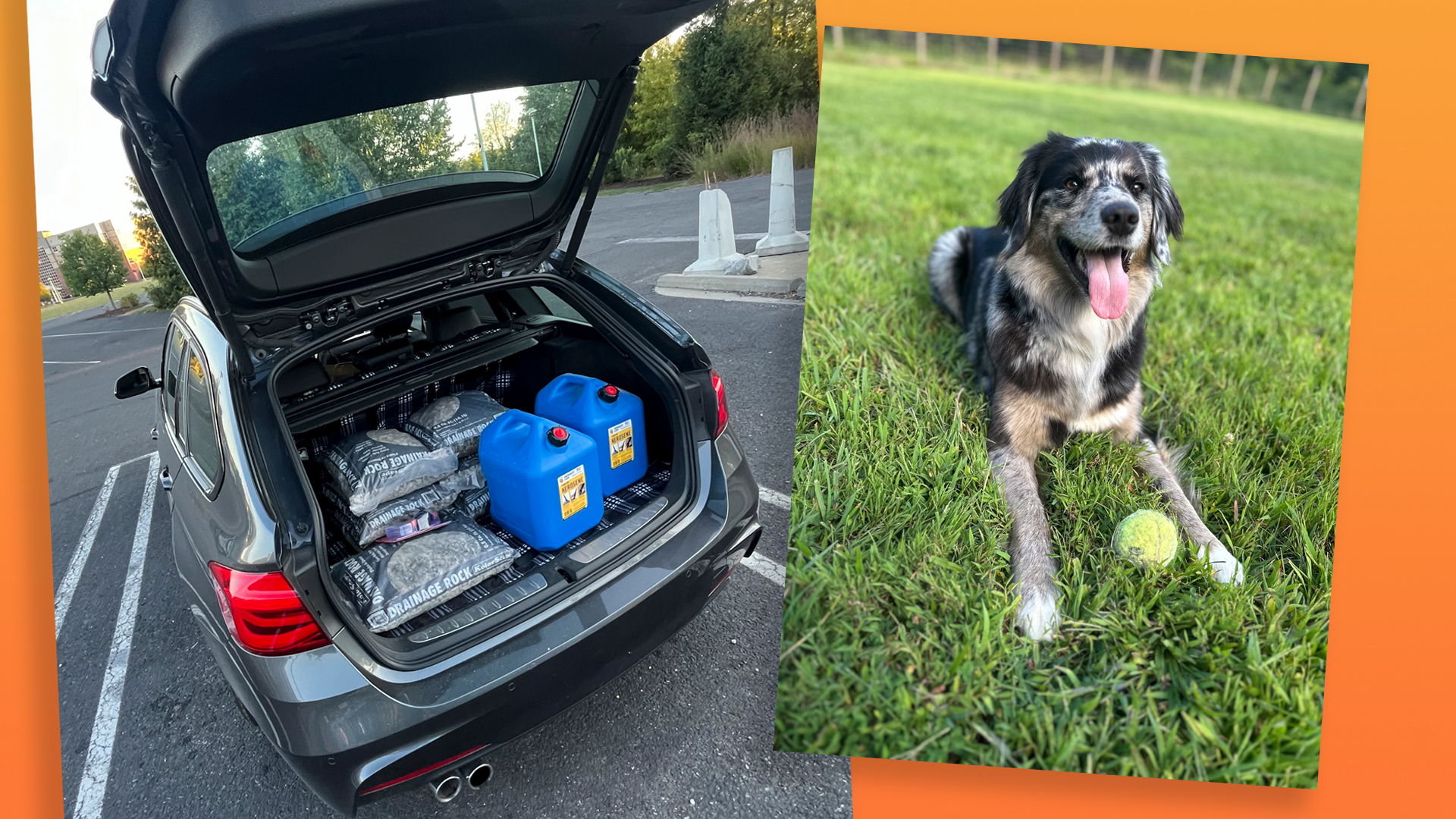 Canvasback cover demo.