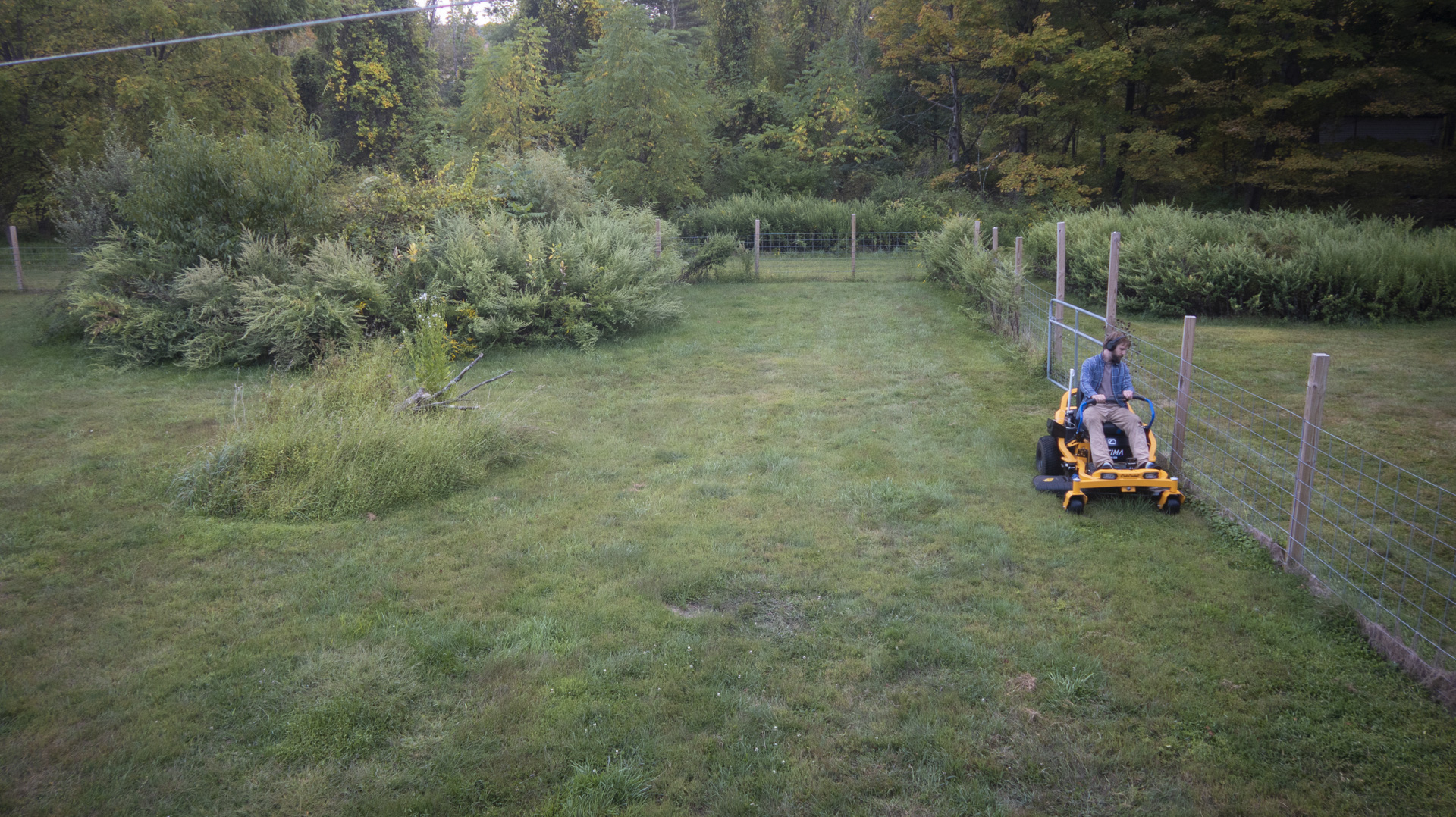 Lawn mowing close to the edge of a fence.