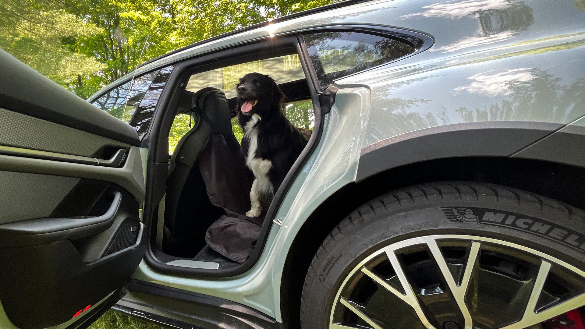 Cute dog in a Porsche.