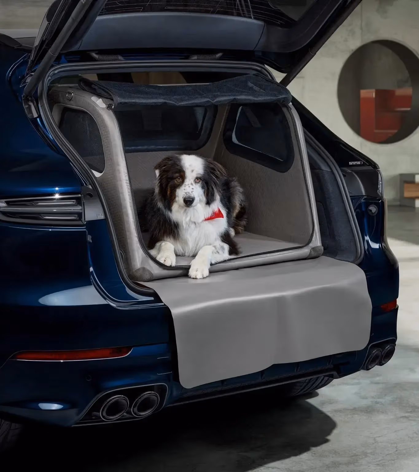 Porsche dog crate