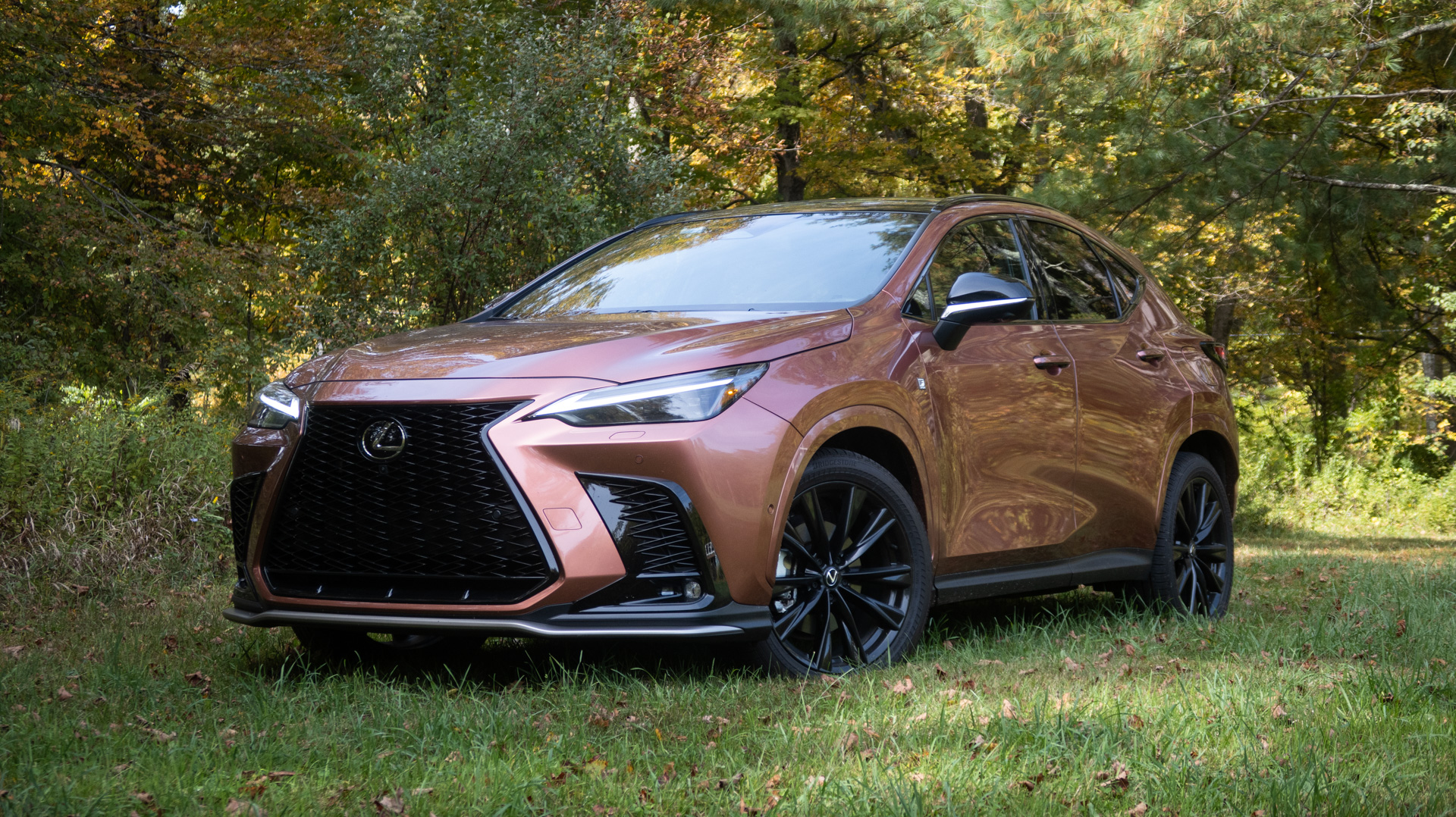 Lexus NX 350 F Sport front three-quarter view.