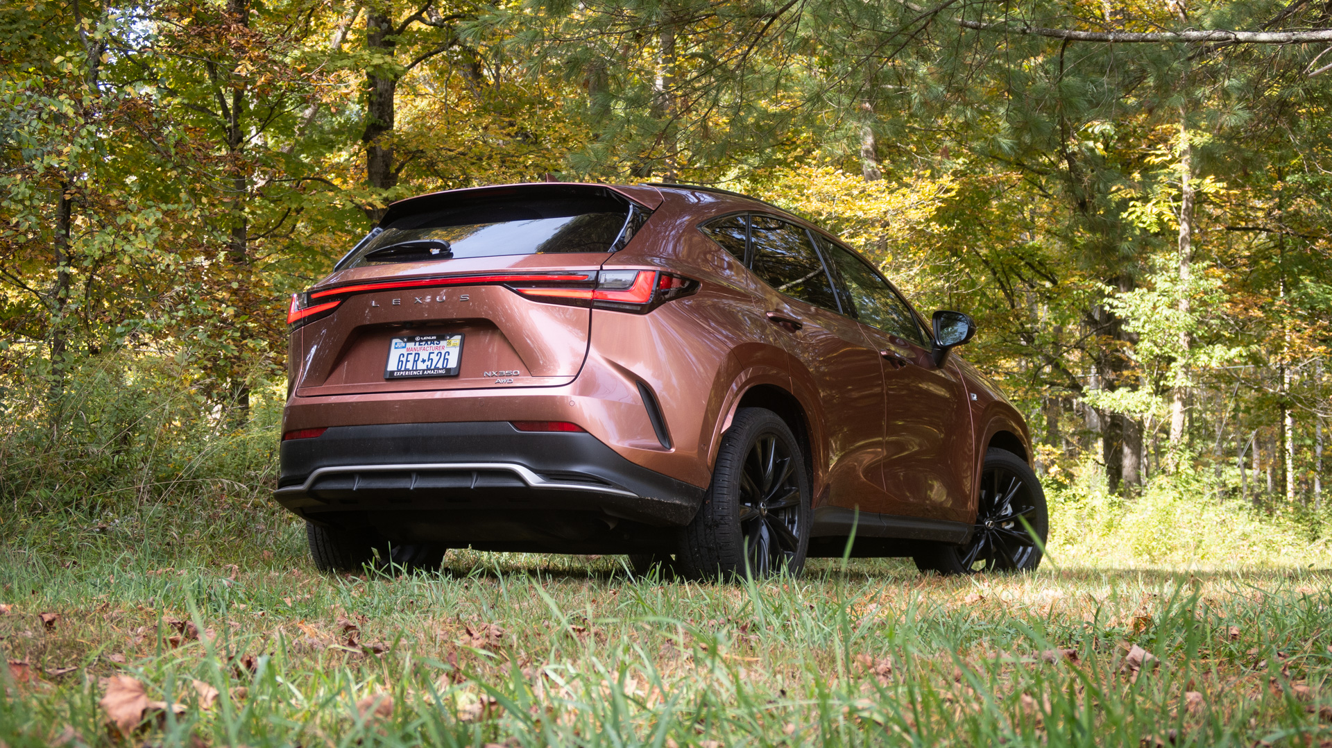 Lexus NX 350 F Sport rear three-quarter view.