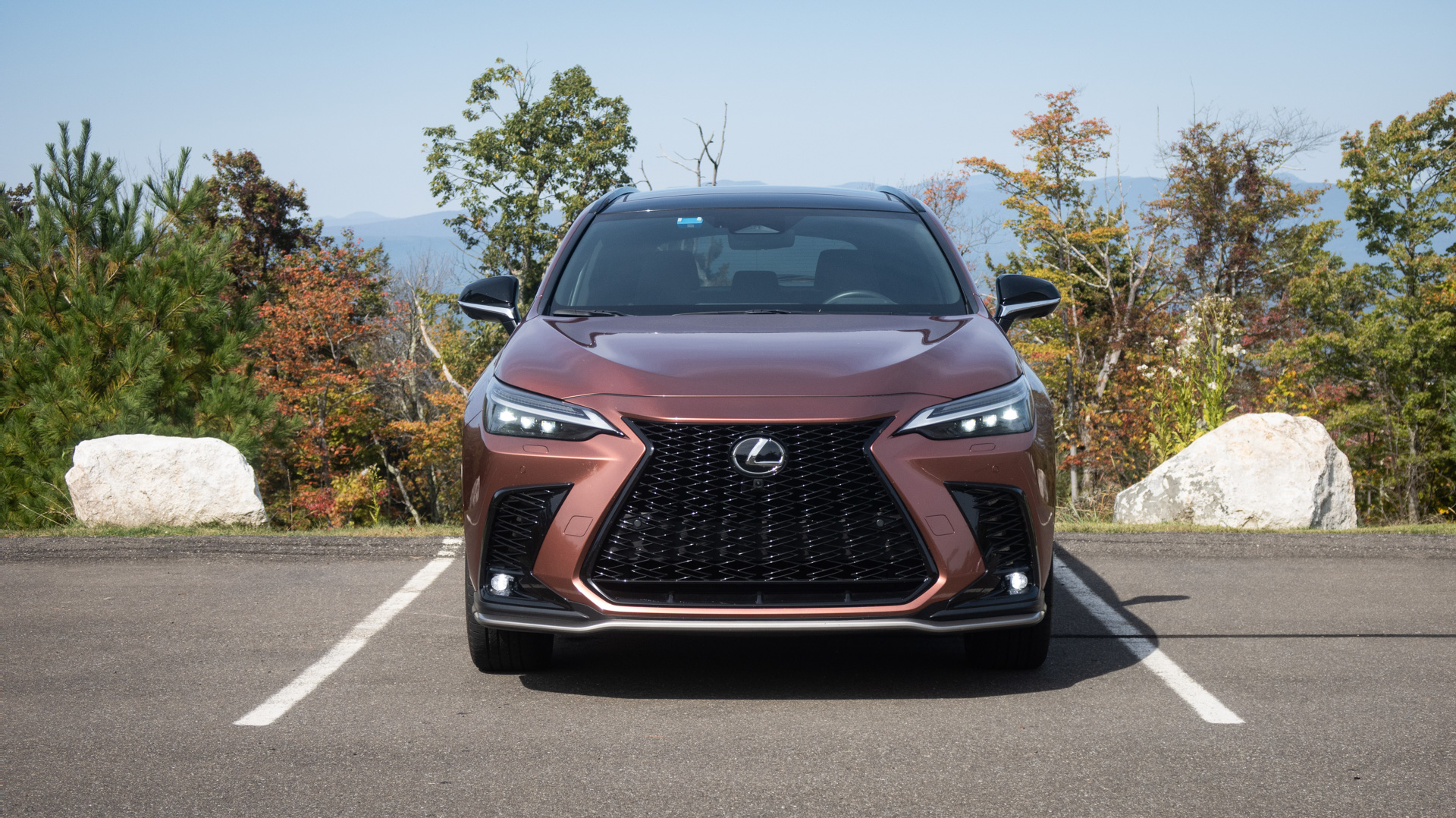 Lexus NX 350 F Sport head-on view.