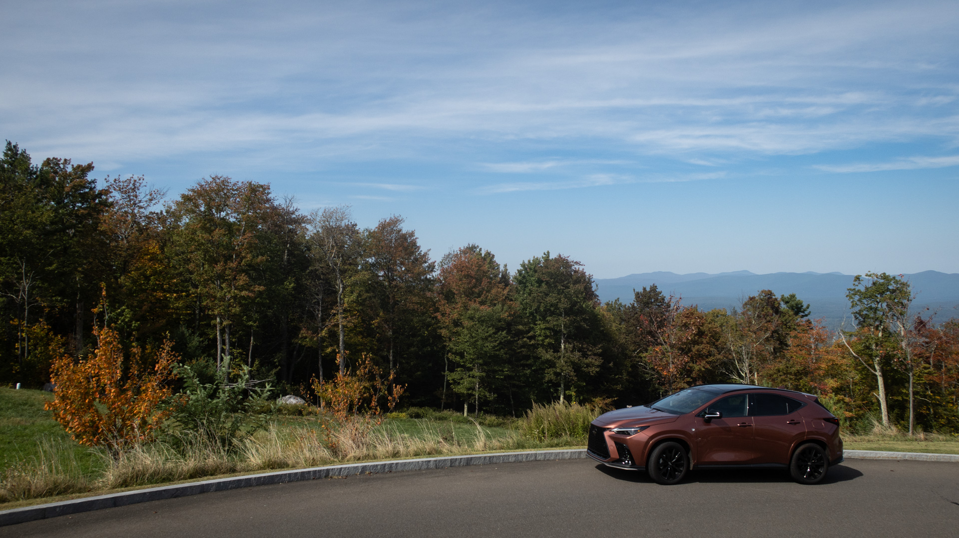 Lexus NX with foliage skyline.
