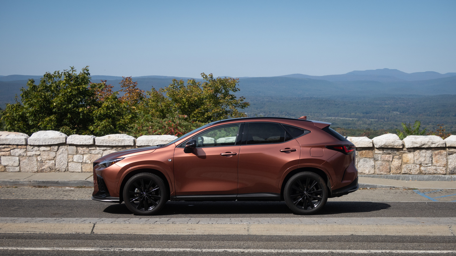 Lexus NX 350 F Sport side view detail.