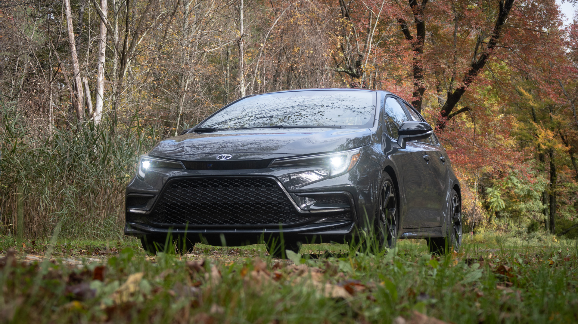 2025 Toyota Corolla FX compact sedan.