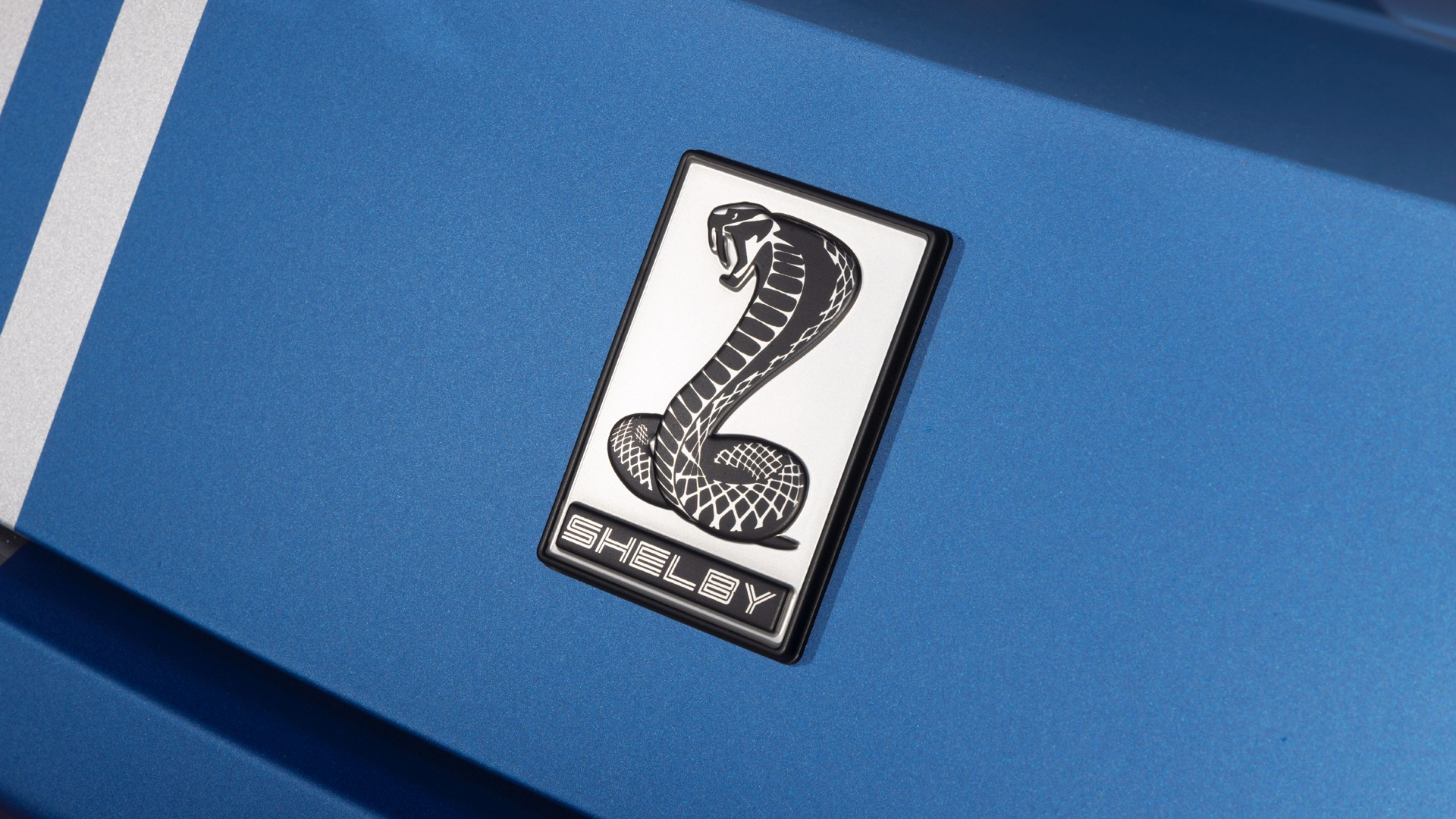 2026 Shelby Super Snake badge.