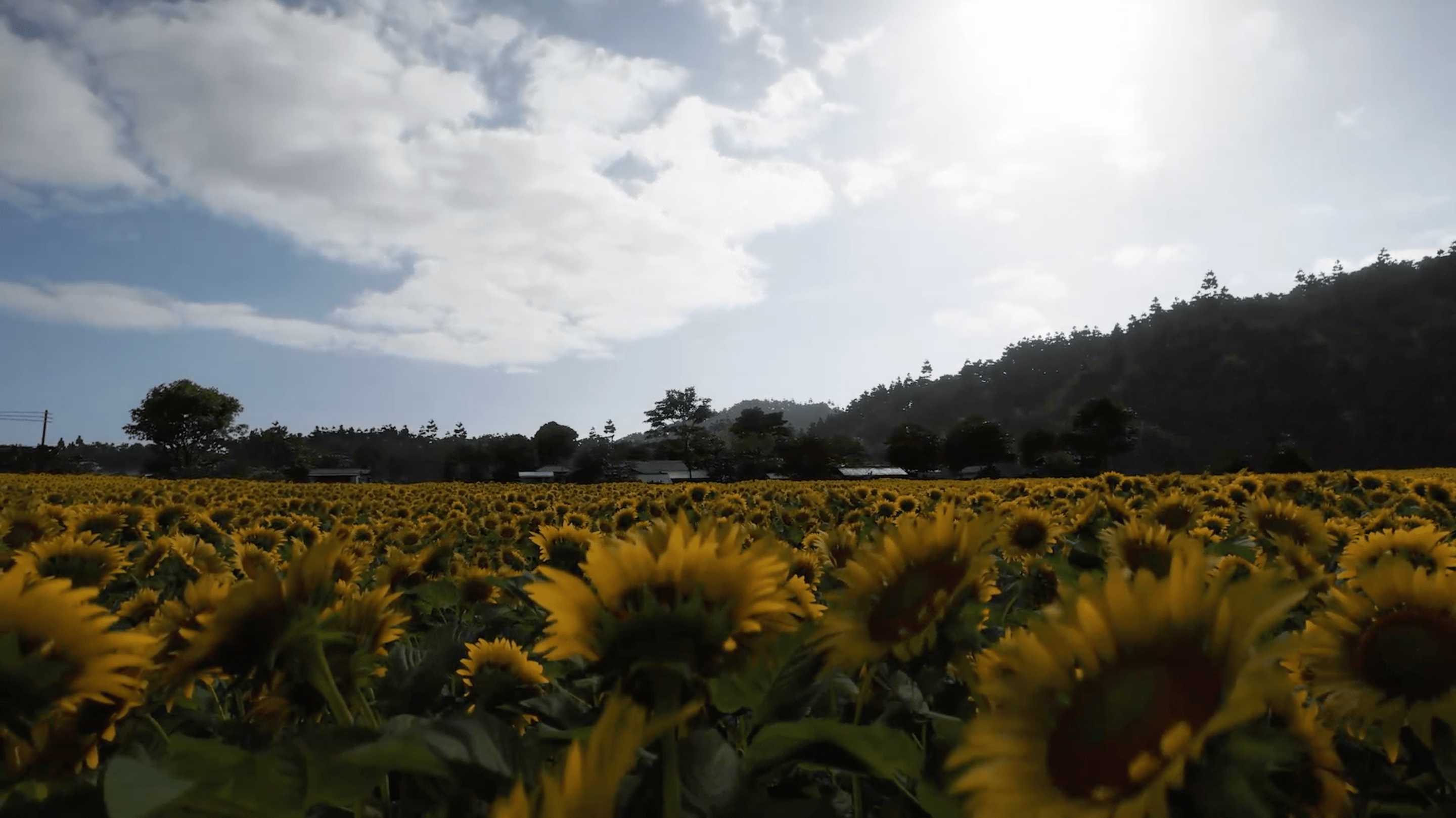 Forza Horizon 6 gameplay