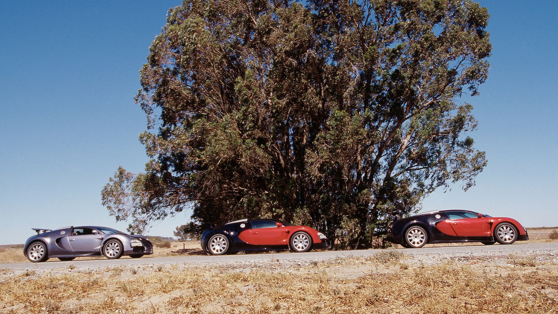 Trio of Bugatti Veyron prototypes parked in front of a tree.
