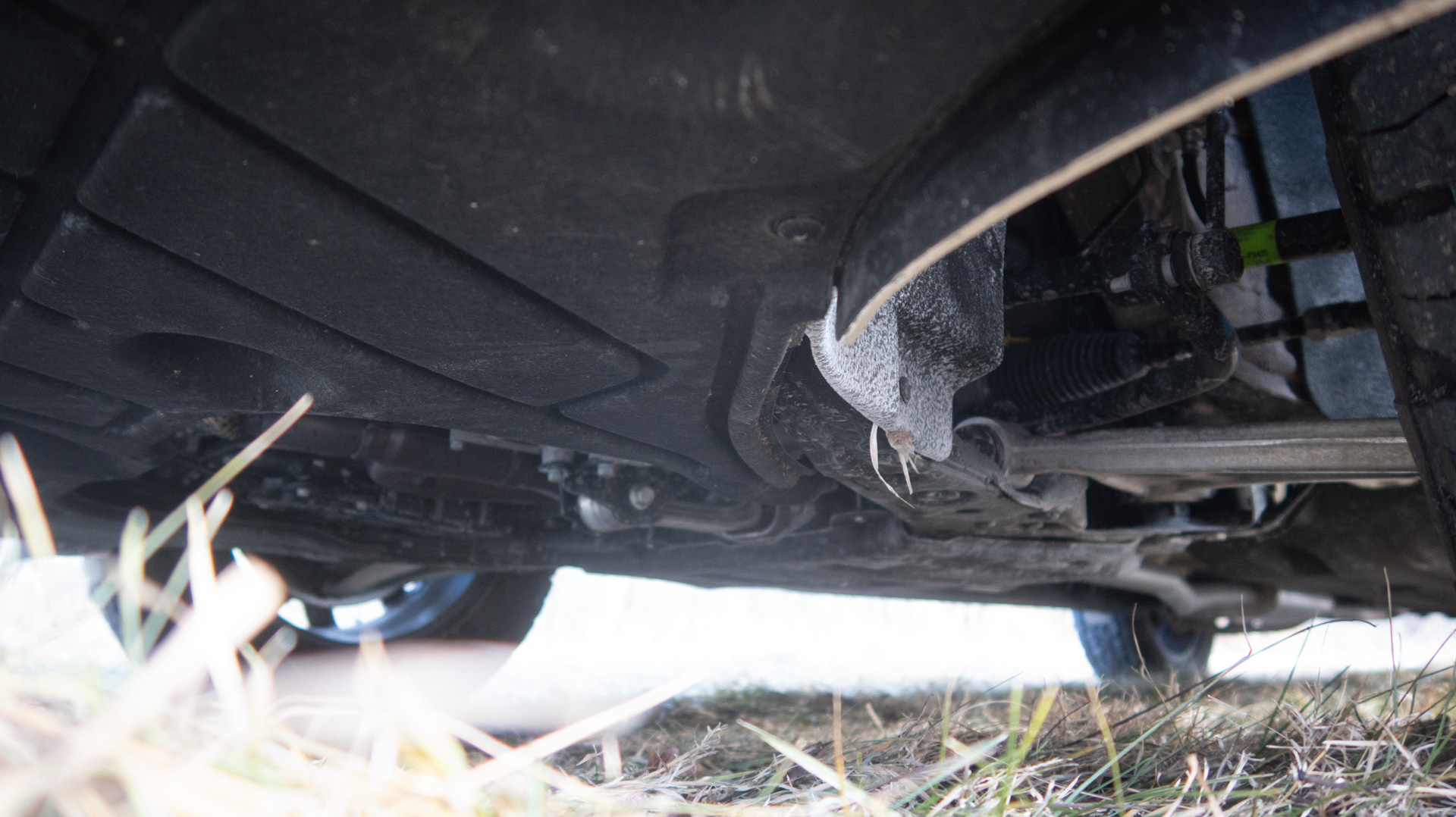 Palisade XRT Pro underbelly.