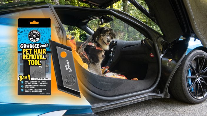 Dog in McLaren with pet hair remover