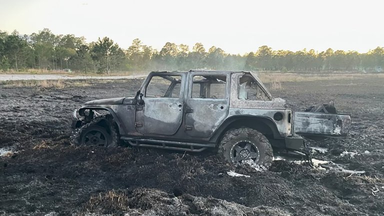 Jeep burned down forestm