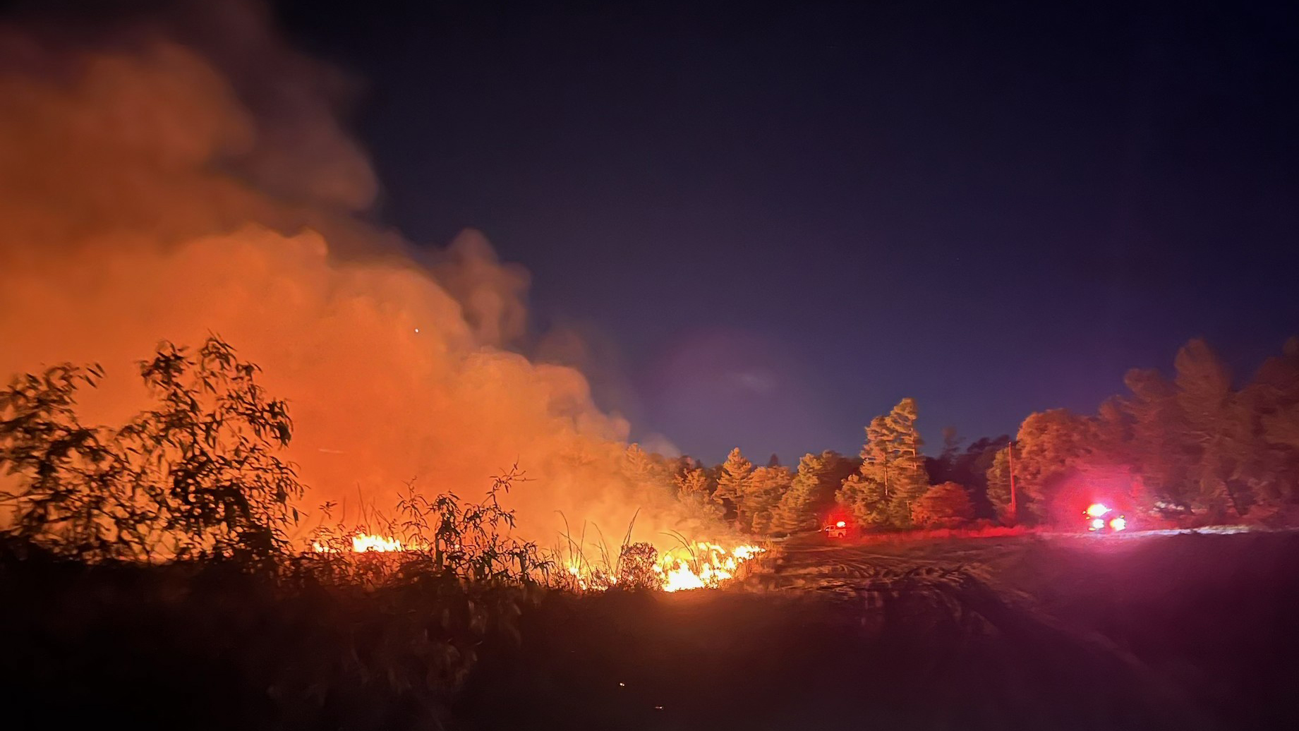 Grassy Pond fire in Ocala National Forest