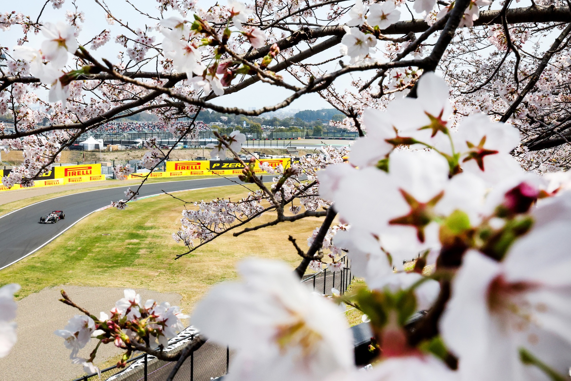 2026 Japanese Grand Prix - Saturday