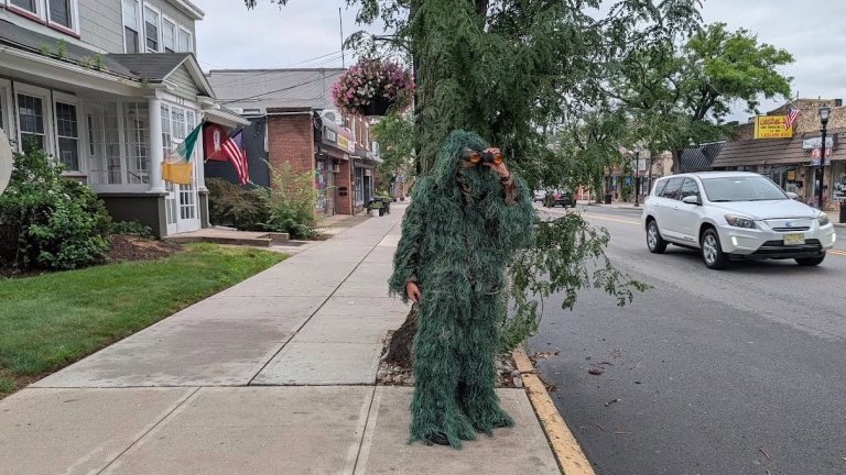 Cop dressed as a plant looks for distracted drivers
