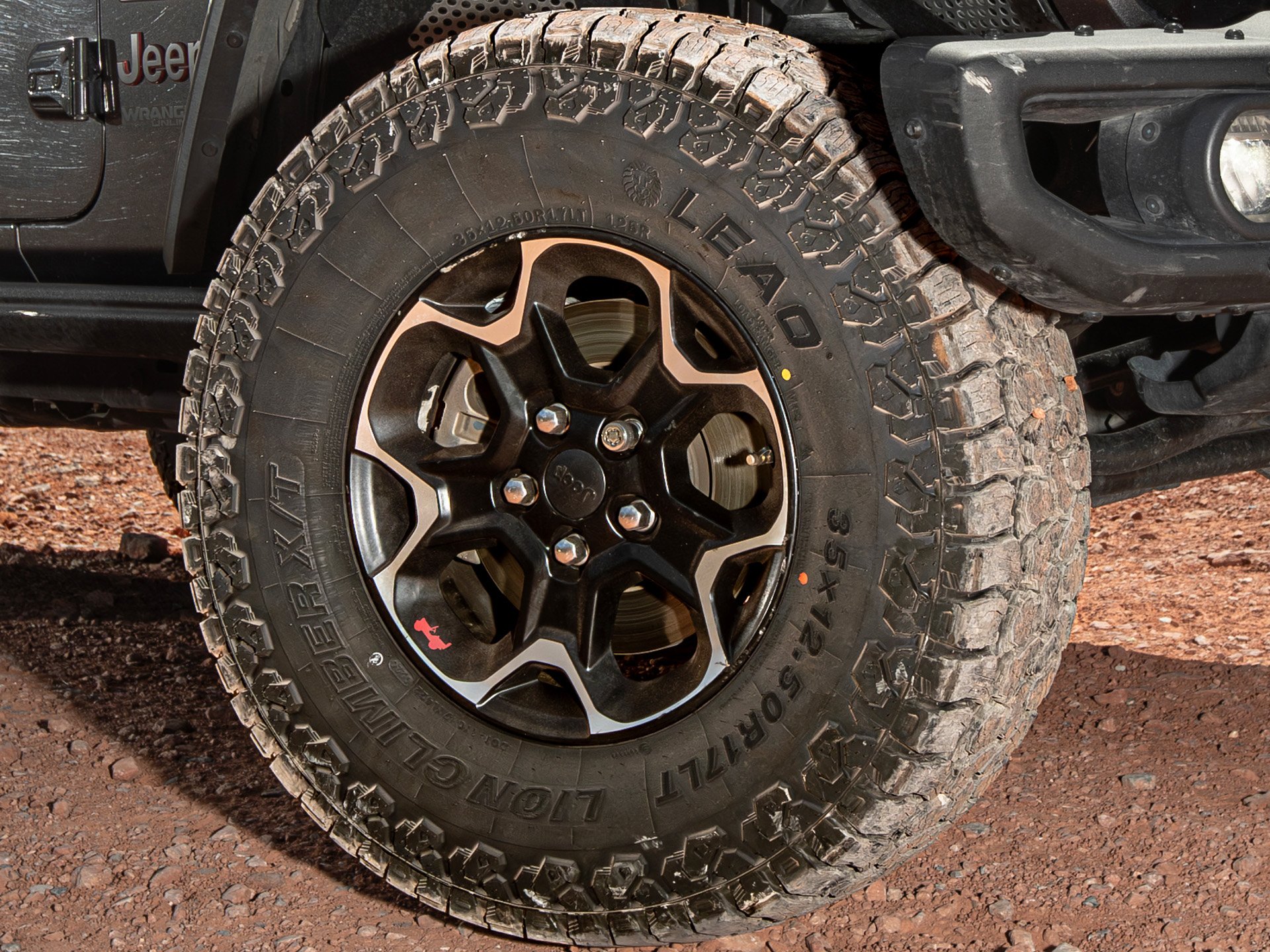 Lion Climber tire.