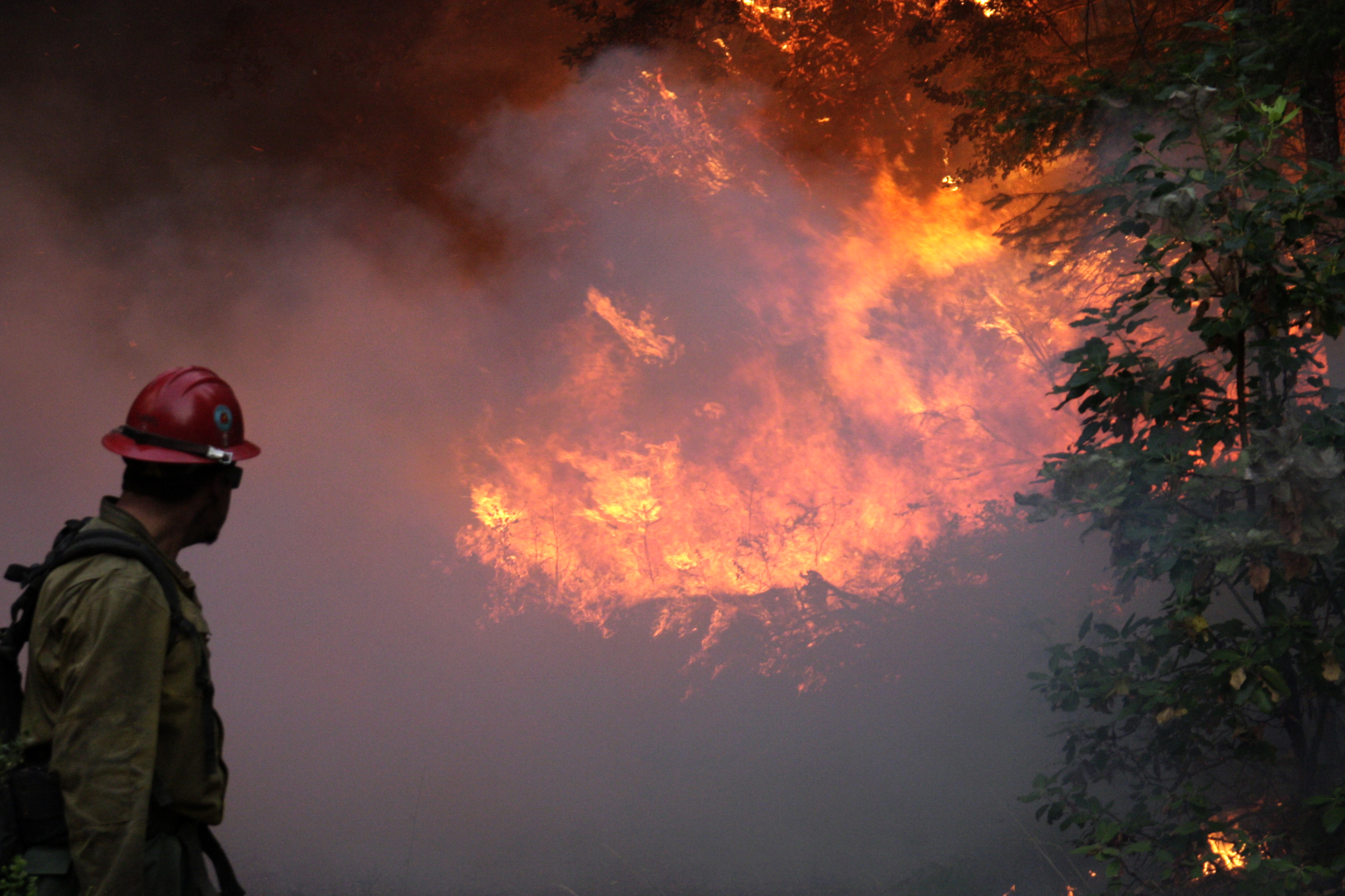 Redding Hotshot crew member conducts firing operation in Mendocino National Forest, California. (BLM photo by Colby Jackson)