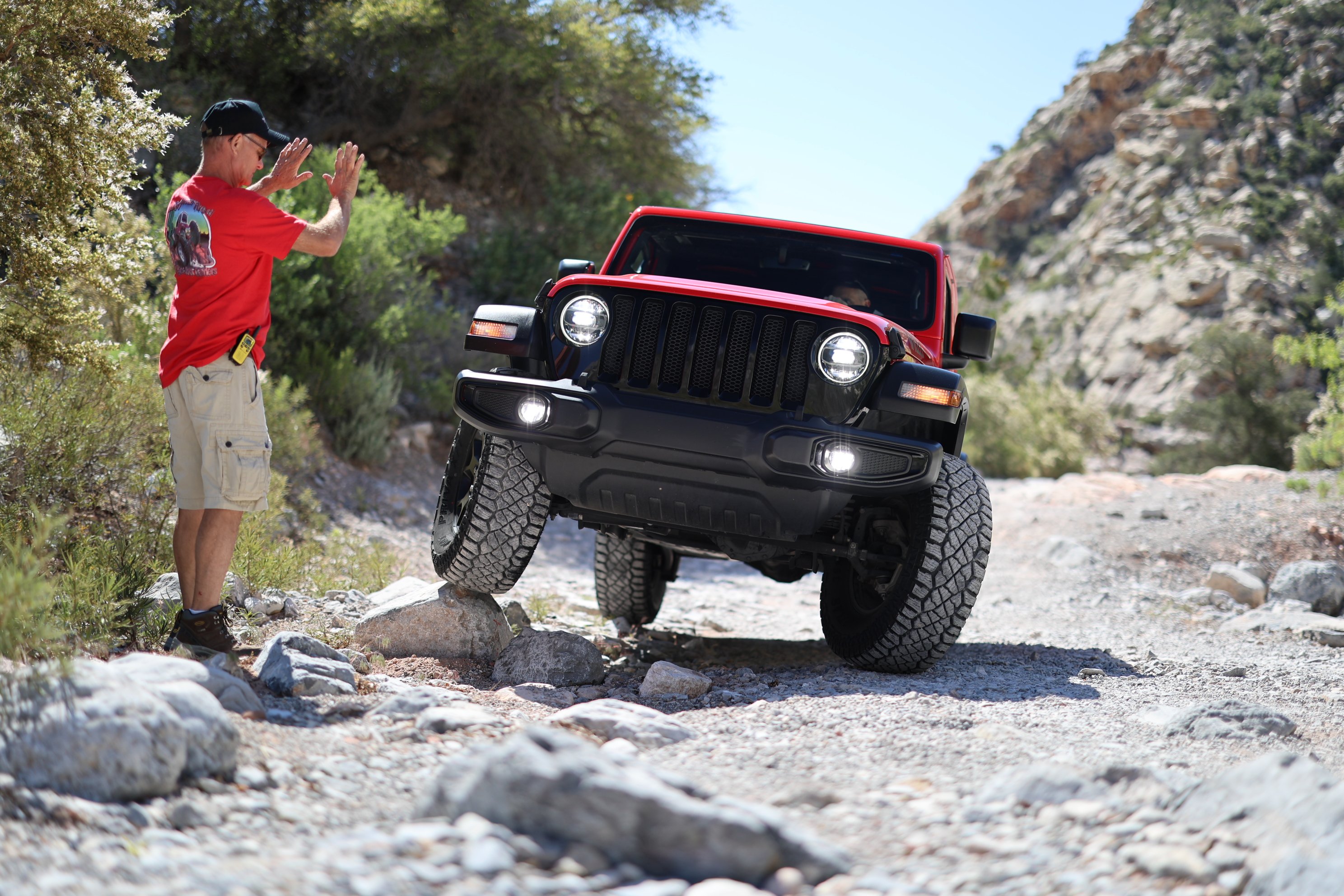 Leao Lion Climber tires posing on a rock.
