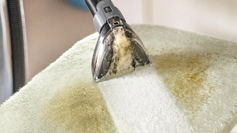 Carpet Cleaner