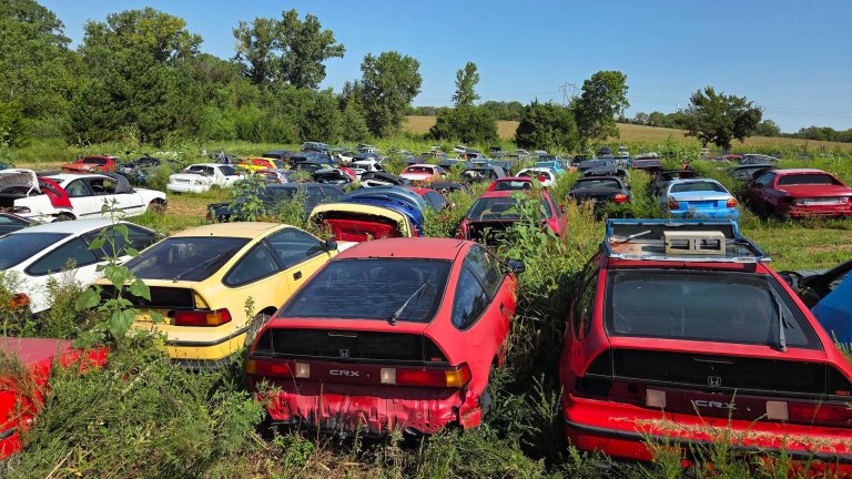 Hondas for sale at Jeremiah Freeman's farm