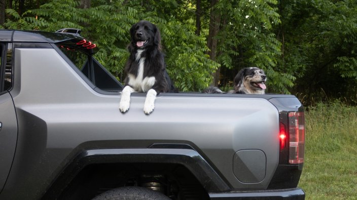 Hummer EV with dogs