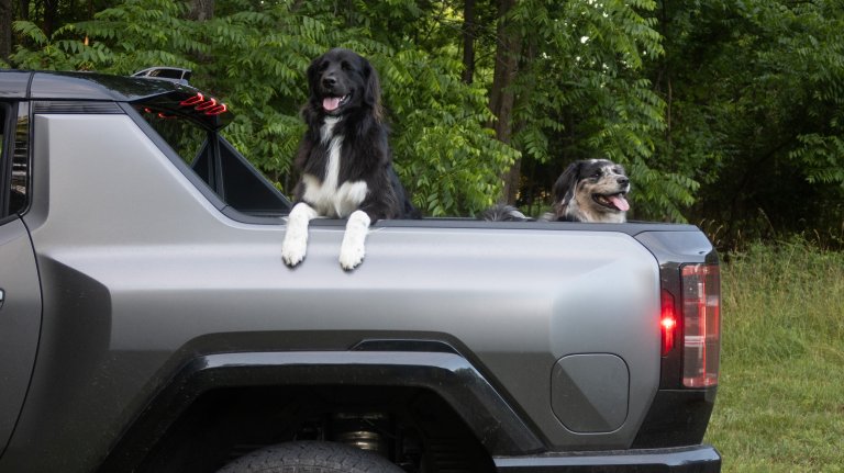 Hummer EV with dogs