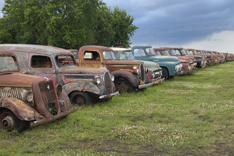Field filled with vintage cars for auction