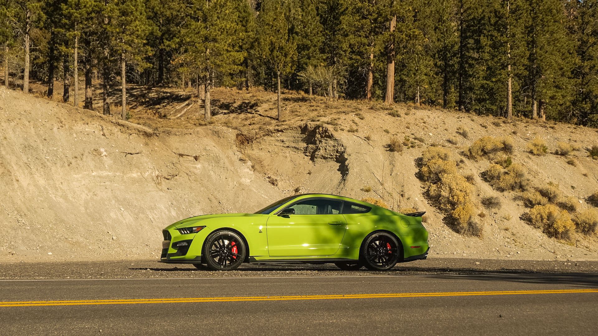 A supercharged Shelby Mustang GT500. 