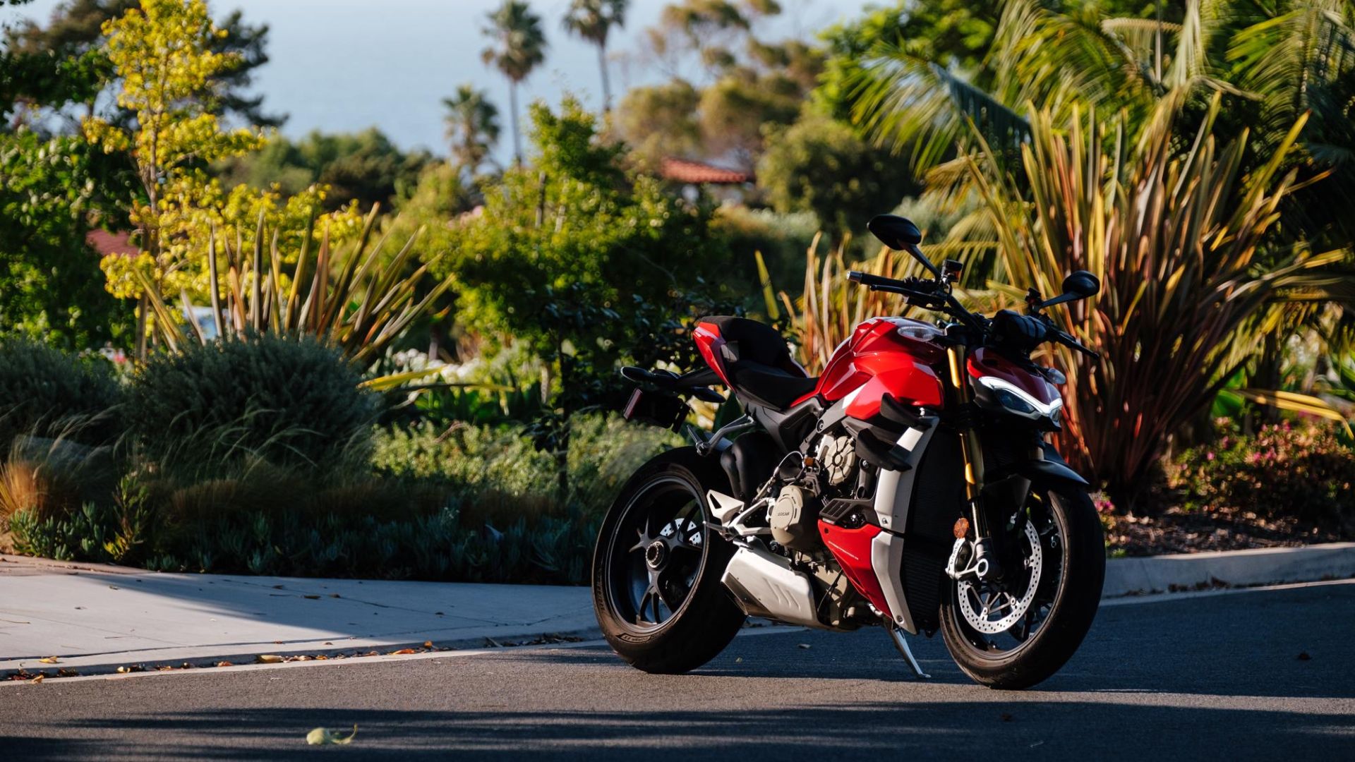 message-editor%2F1598575265604-08-25-2020-ducatistreetfighterbeautyshotsandriding9-1996x1331.jpg