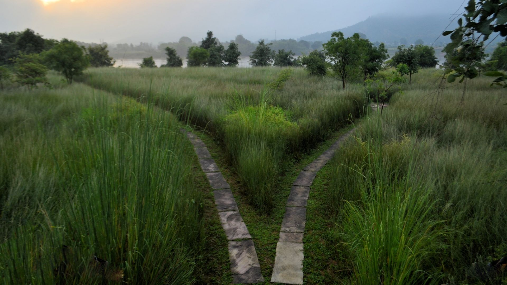 Another fork in the road. 