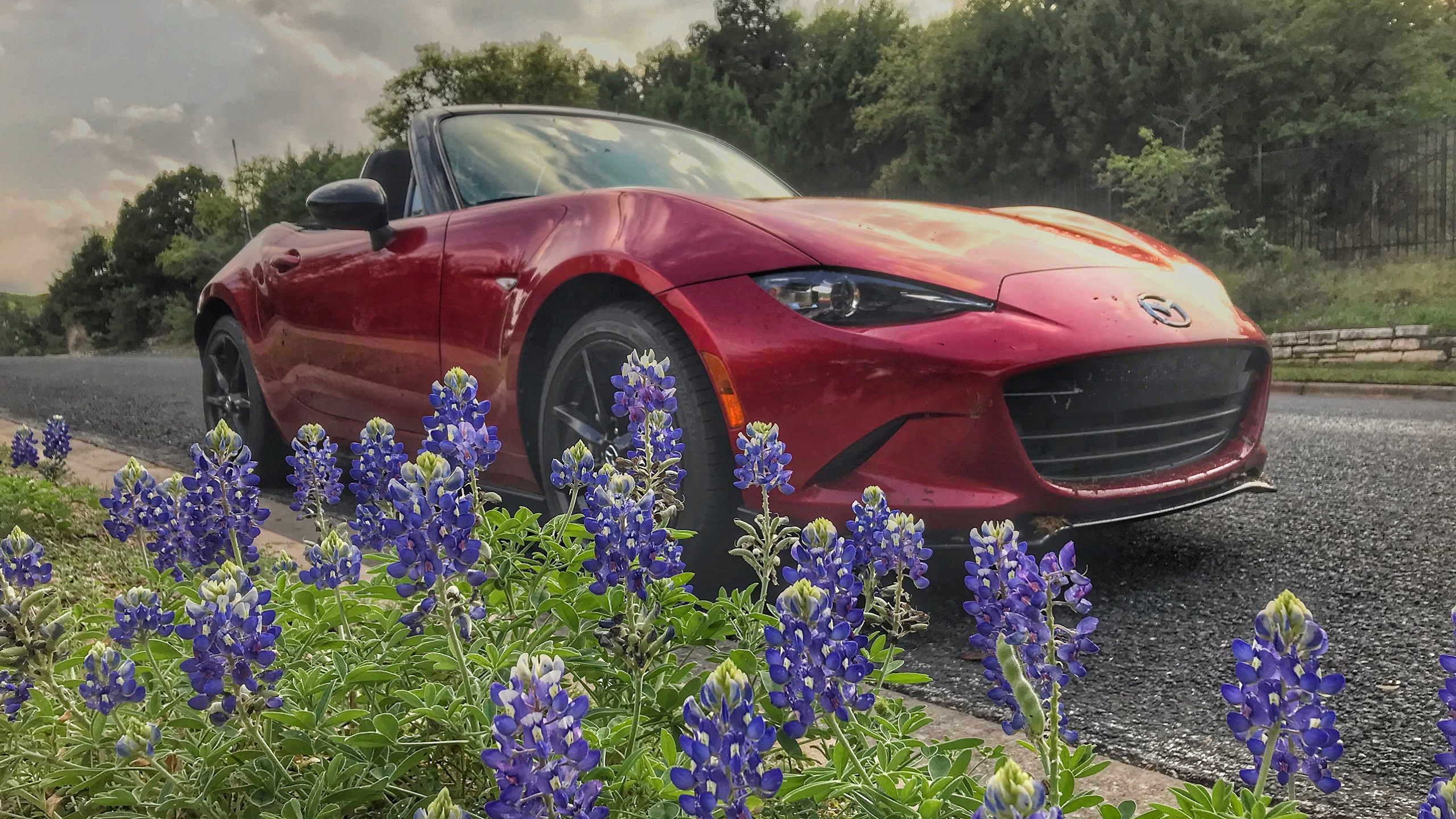 Before You Buy Another Black or White Car, Take a Look at These Vibrant ...