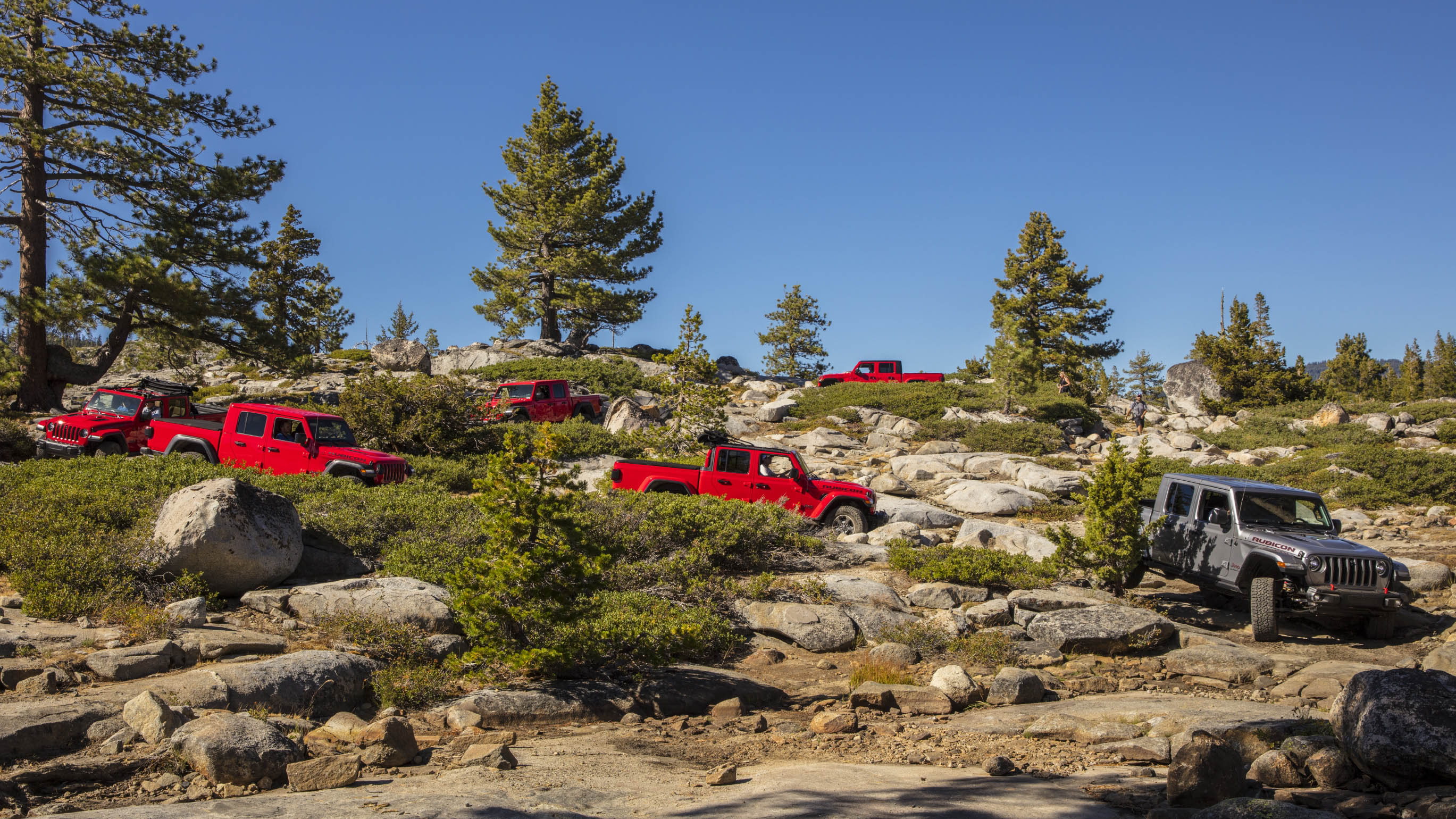 Numerous Jeep Gladiators drive down a hill.