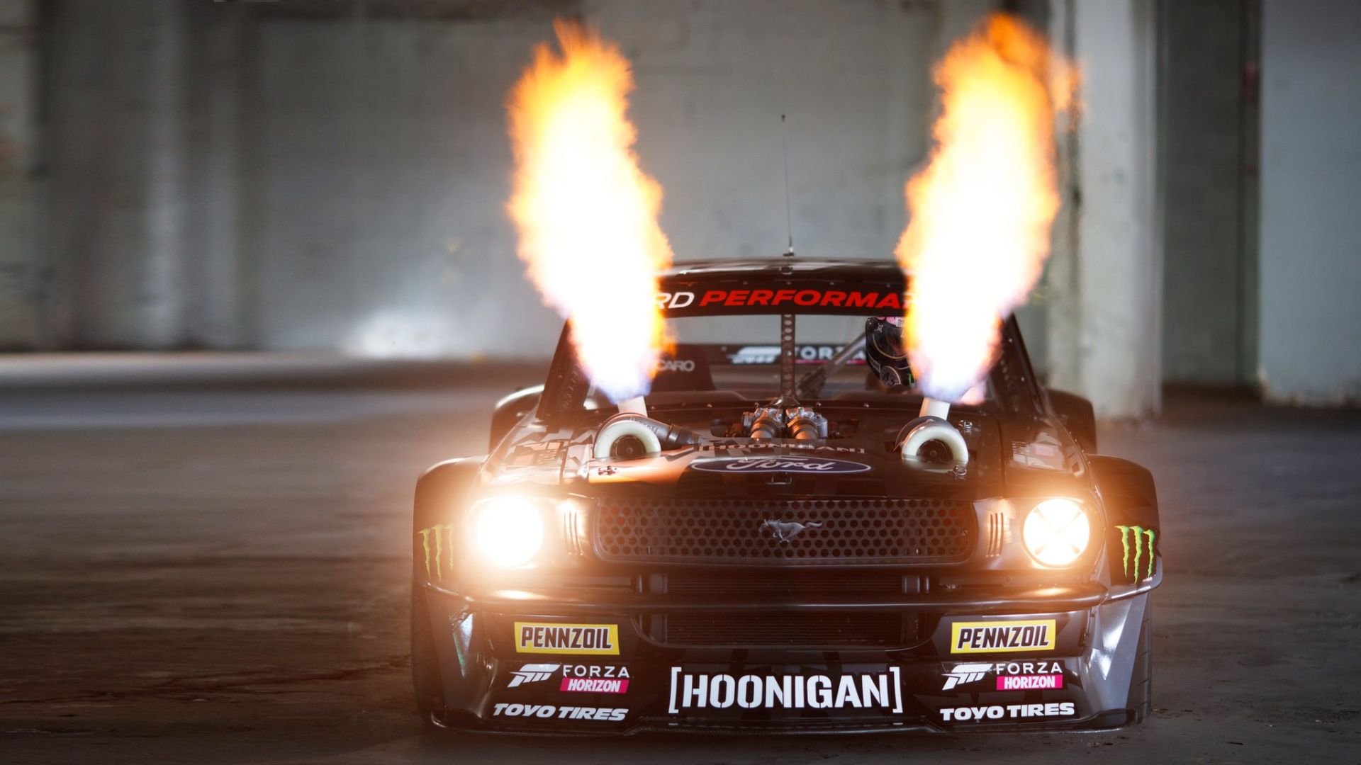 Hoonicorn.