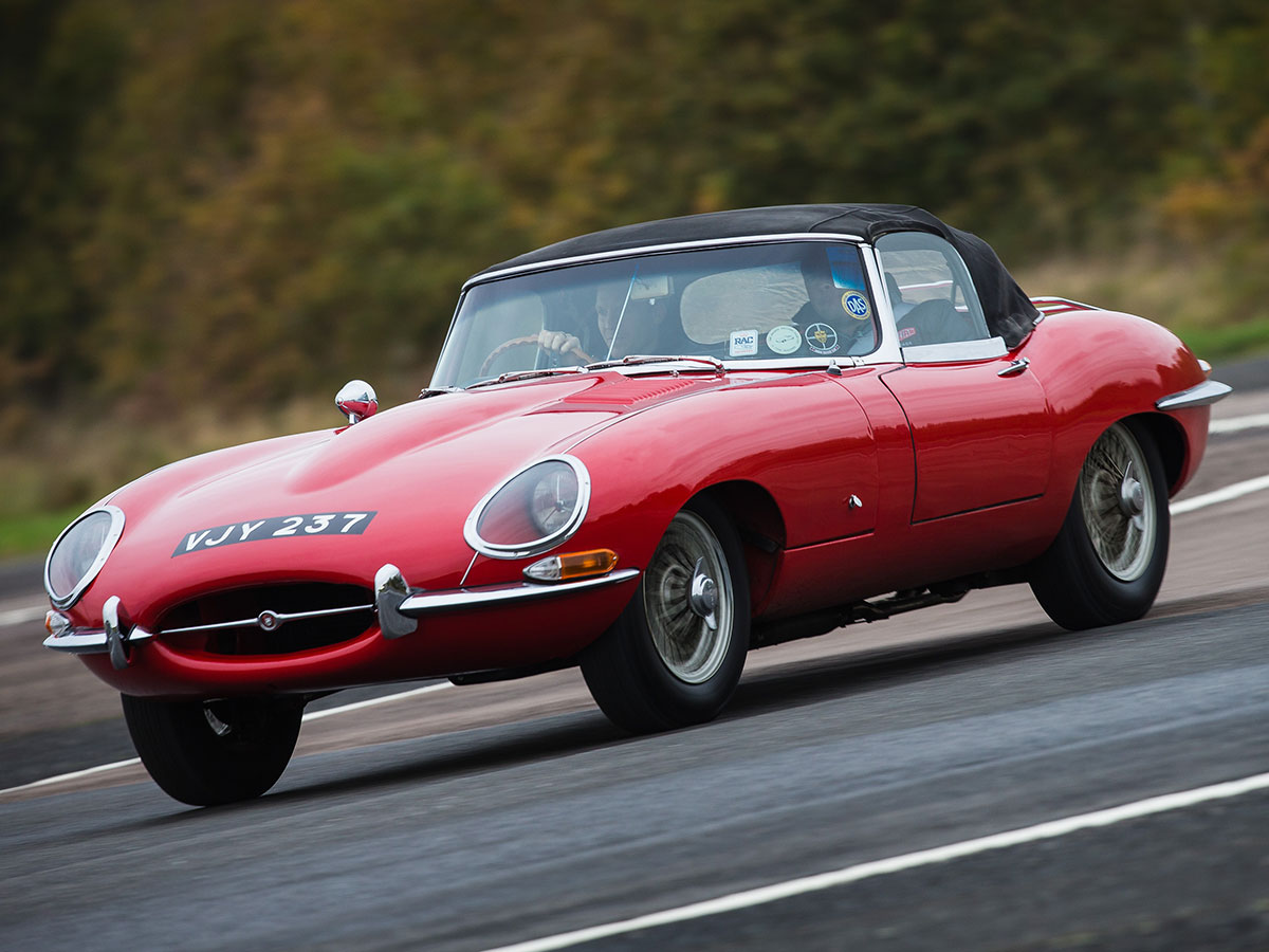 museumofsexcars_jaguaretype_art.jpg