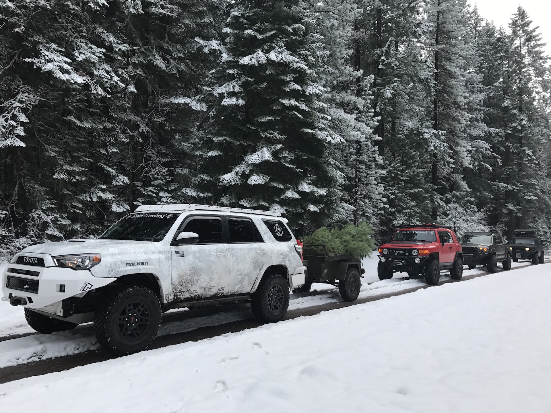 team-overland-christmas-trees-1.jpg